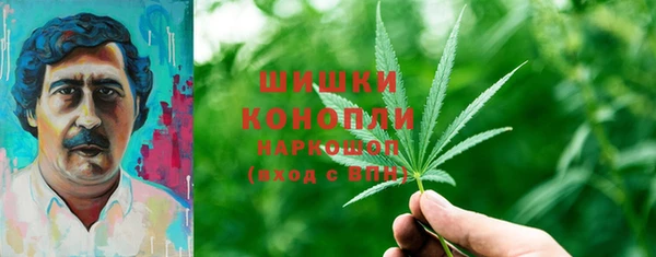 дурь Аркадак