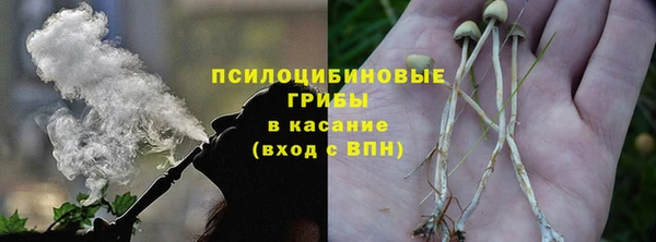 стафф Армянск