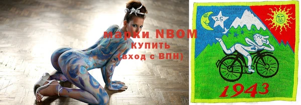 кокс Арсеньев