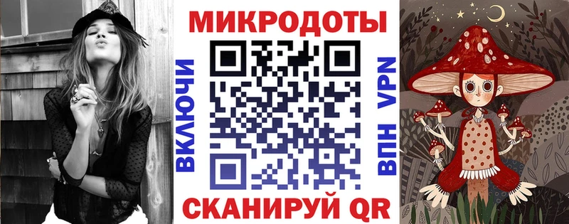 мега как зайти  Жигулёвск  Псилоцибиновые грибы Psilocybe 